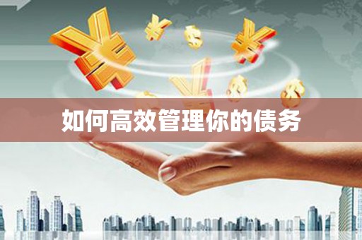 耀州如何高效管理你的债务