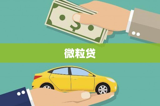 巴楚微粒贷