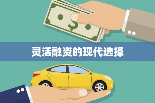 蔡甸灵活融资的现代选择