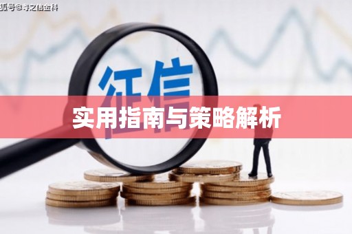 岱山实用指南与策略解析